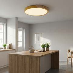 Liora Ceiling Light | LED Ceiling Lamp | Wood and Color Accent 3