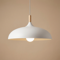 Liva Pendant Lamp | Scandinavian Lighting | Metal in 7 Colors 10