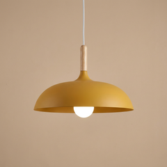 Liva Pendant Lamp | Scandinavian Lighting | Metal in 7 Colors 9