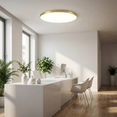 Aureo Ceiling Light | LED Ceiling Lamp | Gold Ring and Matte Light 7