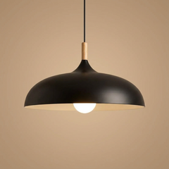 Liva Pendant Lamp | Scandinavian Lighting | Metal in 7 Colors 0