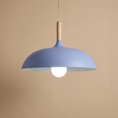 Liva Pendant Lamp | Scandinavian Lighting | Metal in 7 Colors 5